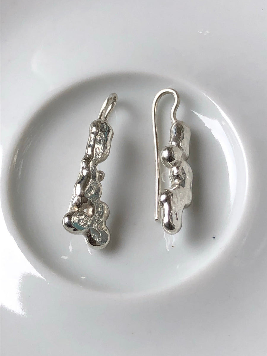Silver Earrings (smaller)